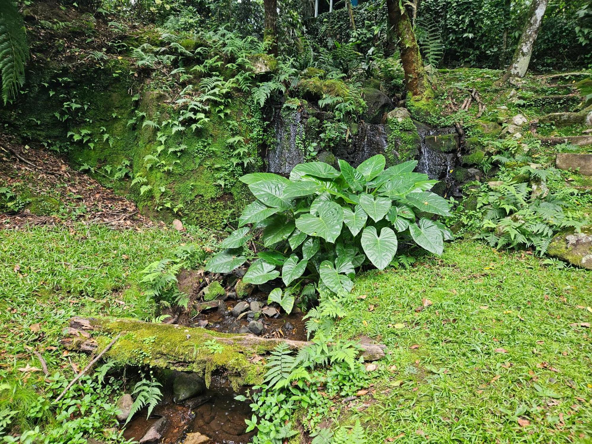 Cantinho Das Oliveiras. กรามาโด ภายนอก รูปภาพ